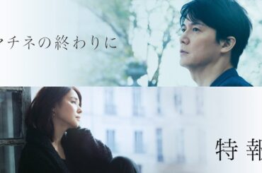 映画『マチネの終わりに』特報【11月1日(金)公開】