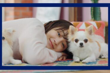 広瀬すず AGC 「素材でがんばるAGC 断熱エコガラス」篇