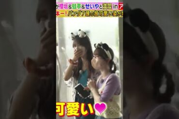 【田村保乃/守屋麗奈】ここ、くぁいい、明確な理由は無いけど、くぁいい、ひっつく二人が、くぁいい、要するにそういう事なんだなん :)【櫻坂46】