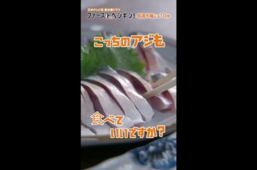 サバノっていうアジなんですね･･･？「ファーストペンギン！」毎週水曜よる10時 #Shorts #奈緒 #堤真一 #鈴木伸之 #渡辺大知