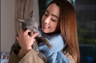 史上最強にキュンとくる“最キュン”猫映画!!沢尻エリカ×吉沢亮『猫は抱くもの』予告