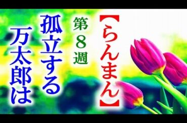 【らんまん】朝ドラ 第8週 万太郎は孤立し落ち込んでしまうが…連続テレビ小説第7週感想