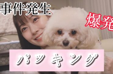 【渡辺美優紀】パッキング動画。【みるきー】