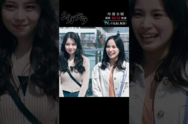 【#シガテラ】古谷実が放つ伝説の青春サスペンス！特別ショート動画⑦#醍醐虎汰朗 #関水渚 #shorts