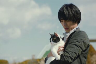 高畑充希がまさかの猫役　福士蒼汰主演映画「旅猫リポート」特報が公開