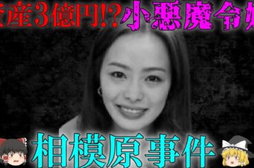 【ゆっくり解説】【実話】「北川景子に負けたくなかった…」女子大卒の資産家令嬢が起した“相模原事件”～秋山智咲～