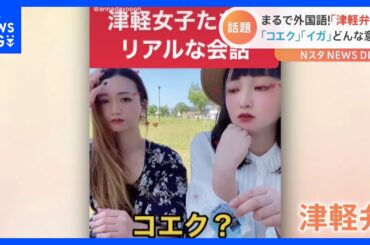 まるで外国語！難解すぎる「津軽弁」の会話が話題沸騰！SNS350万再生！「コエク？」「イガ！」一体どんな意味？｜TBS NEWS DIG