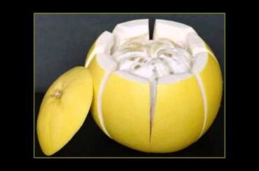 女優・モデルの渡辺 杏の好物「ばんぺいゆ」とは？