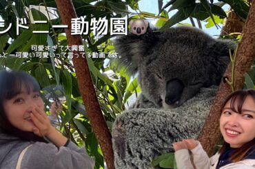 【シドニーVlog】オーストラリアの動物にあってきました！可愛すぎ😭🫶🫶🫶