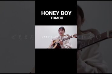 【弾き語り】HONEY BOY/TOMOO cover by KYOKA #弾き語り #honeyboy #tomoo #京佳 #歌うお京ちゃん #シンガーソングライター