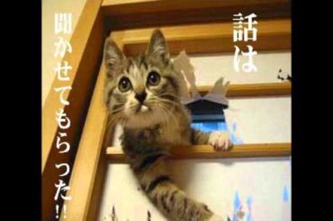 伊集院光　想像で「ラジオ深夜便」をやってみる