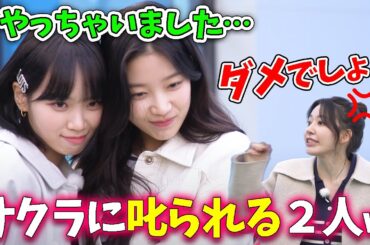 【LE SSERAFIM】メンバーの想いが届かず大ハズレするカズハとチェウォンｗｗｗ【日本語字幕】