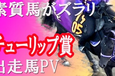 2023 チューリップ賞（GⅡ）（桜花賞トライアル） 出走馬プロモーションビデオ　Racehorses with music