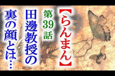 【らんまん】朝ドラ 第39話 万太郎が知る田邊教授の裏の顔とは…連続テレビ小説第38話感想