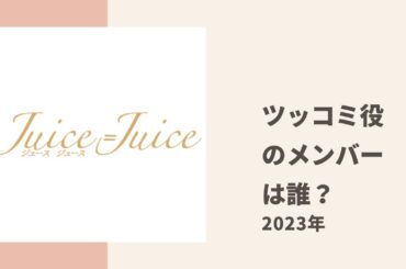 【Juice=Juice】ツッコミ役のメンバー不足問題についてうえむーとさくらちの見解