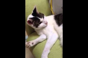 うおちゃん起きない