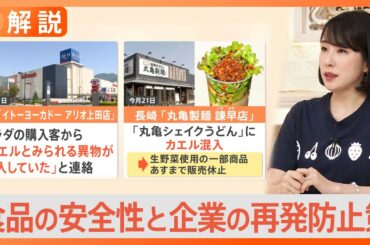 カエル混入相次ぐ　混入した食品の安全性と企業の再発防止策【Nスタ解説】｜TBS NEWS DIG