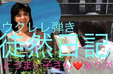 ウクレレ弾き SAKAI  いとうまい子さん ありがとう