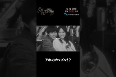「#シガテラ」【アホのカップル！？ver.】 テレビ東京系 毎週金曜24時12分から放送&TVerで配信中！#醍醐虎汰朗 #関水渚 #長谷川慎 #shorts