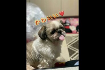 ぺろだし😍乃蒼さん😍写真だけど🫰可愛いぃぃ❤️