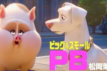 チョコプラ松尾&松岡茉優、『スーパーペット』吹替参戦！梶裕貴ら豪華声優陣が共演／映画『DC がんばれ！スーパーペット』特報