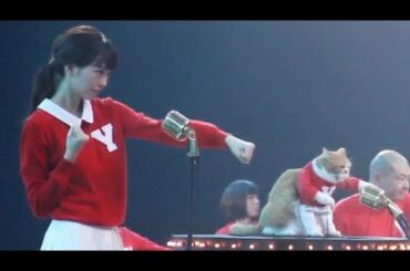 ふてニャンと桐谷美玲が一緒にダンス！ Y!mobile新CM「素晴らしいワイモバイル」編（メイキング）