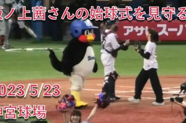 つば九郎、坂ノ上茜さんの始球式を見守る 2023/5/23