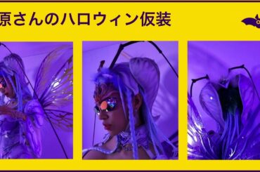 水原希子、今年のハロウィンは昆虫コスプレに挑戦！　『メルカリ アフターハロウィンパーティー』開催