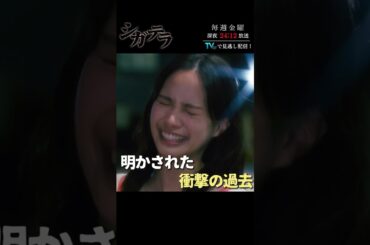 【#シガテラ】古谷実が放つ伝説の青春サスペンス！特別ショート動画⑧#醍醐虎汰朗 #関水渚 #shorts