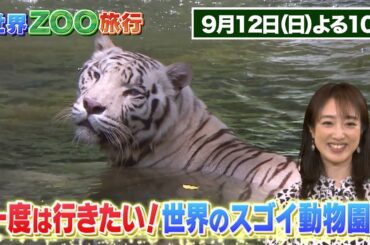 アンタッチャブル柴田＆川田裕美がナビゲート！【世界ＺＯＯ旅行】好評につき9月12日再放送決定！