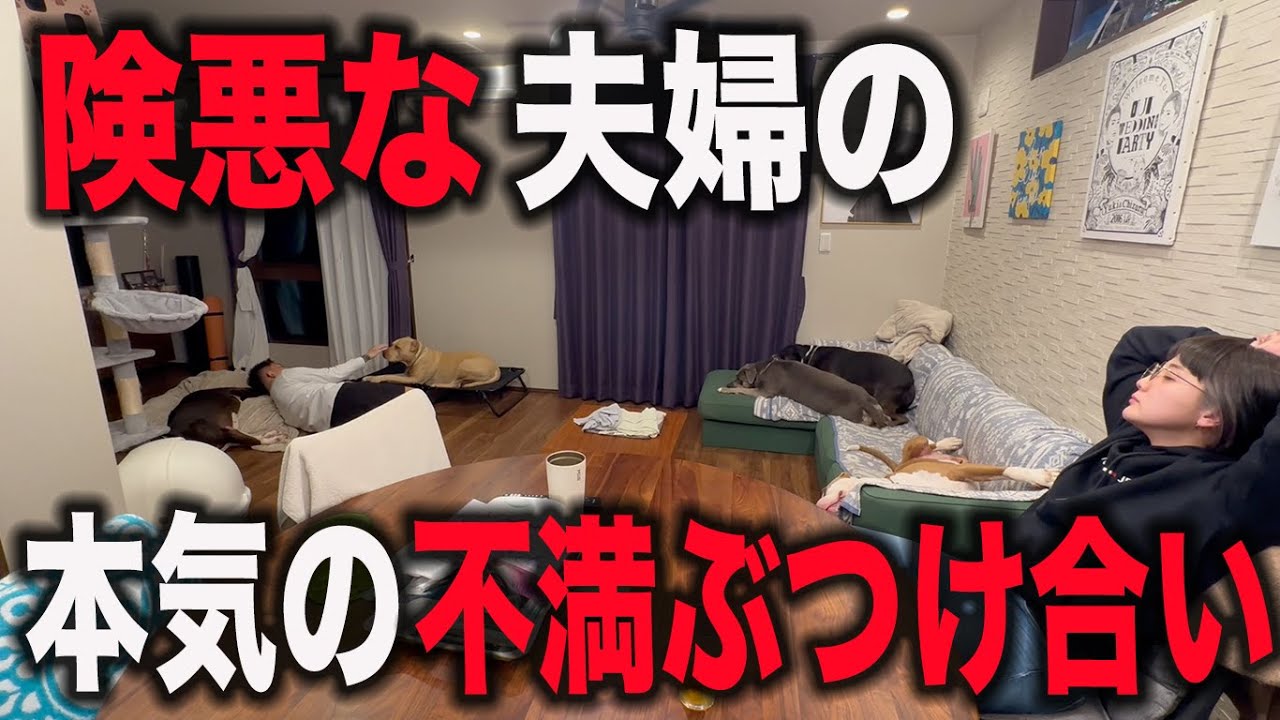 最近険悪な夫婦のリアルで本気の話し合い‼️ 最近険悪な夫婦のリアルで本気の話し合い‼️