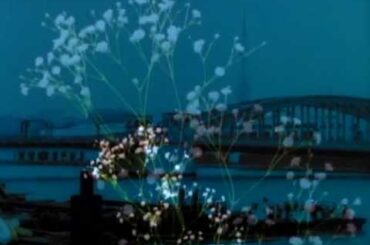 森高千里 『私のように』 (PV)