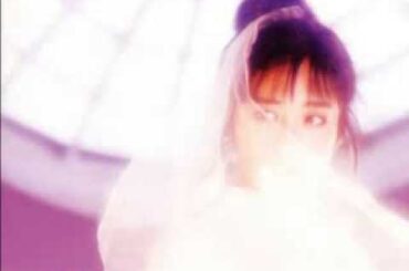 斉藤由貴　家族の食卓