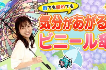 【雨でも晴れでも】気分があがるビニール傘／とれたてFISHING
