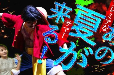 今年もUSJで麦わらの一味と大熱狂！ワンピース・プレミア・サマー 2023の情報をお届け！