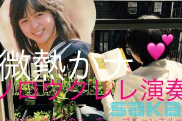 熱中症に注意  微熱かナ  伊藤麻衣子 ソロウクレレ