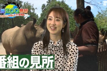川田裕美「赤ちゃんがすっごいカワイイ！」【世界ＺＯＯ旅行】