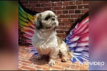 乃蒼さんの様子2