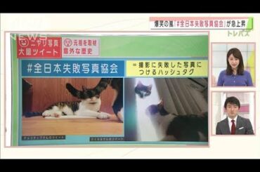 トレンド急上昇！「＃全日本失敗写真協会」とは・・・(2020年11月26日)