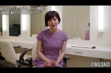 滝川クリステル 「ＷＩＬＤＡＩＤ×アフリカゾウの涙」ビデオメッセージ【日刊スポーツ】