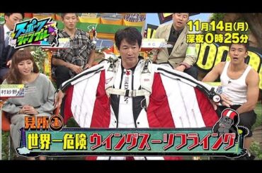 【公式】「スポーツジャングル」宮司愛海アナの今回の見どころ