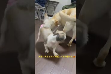 興奮する乃蒼さん😍😍