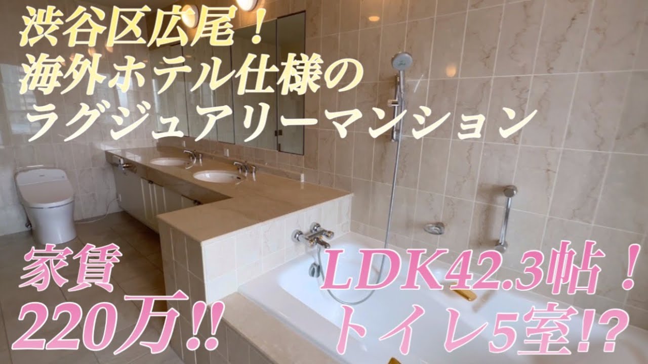 渋谷区広尾!芸能人在住(星野源/新垣結衣夫妻、福山雅治/吹石一恵夫妻、ジャニーズ山田涼介くんなど)日本トップクラスの高級エリアで最高級マンション#ルームツアー#高級マンション#高級賃貸@ゆっくり不動産 渋谷区広尾!芸能人在住(星野源/新垣結衣夫妻、福山雅治/吹石一恵夫妻、ジャニーズ山田涼介くんなど)日本トップクラスの高級エリアで最高級マンション#ルームツアー#高級マンション#高級賃貸@ゆっくり不動産