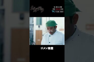「#シガテラ」【ゴメン南雲ver.】 テレビ東京系 毎週金曜24時12分から放送&TVerで配信中！#醍醐虎汰朗 #関水渚 #長谷川慎 #shorts