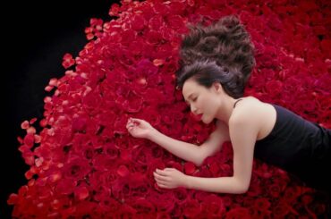 松田聖子 - 「薔薇のように咲いて 桜のように散って」ミュージックビデオ(Short Ver.)