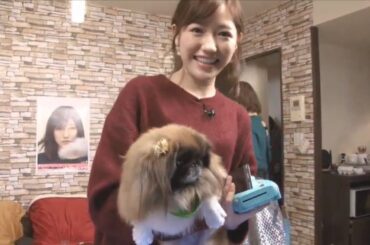 171127 さっしー、まゆゆ、ゆきりん 最後のニコ生女子会