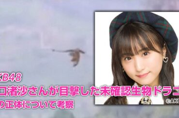 『AKB４８』坂口渚沙さんが目撃！！　 北海道の空を飛ぶドラゴン【未確認生物】