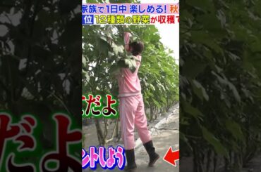 【守屋麗奈】収穫した野菜で作ったピザを食べる麗奈たんが愛おしいんだなん :)【櫻坂46】