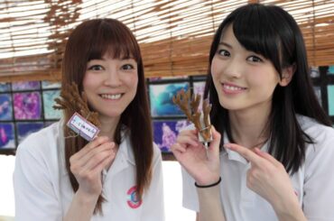 吉澤ひとみ＆℃-ute矢島舞美 チーム美らサンゴ活動報告2015