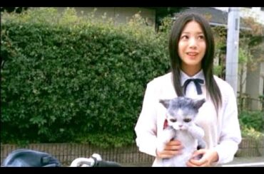 夏帆 : アルベルト (200801)